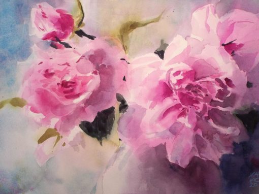 Pink Peonies
