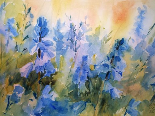 Bluebells