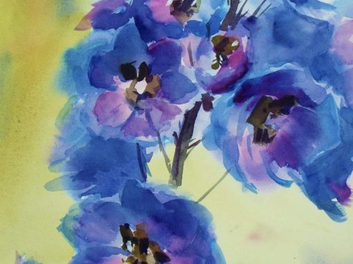 Delphinium