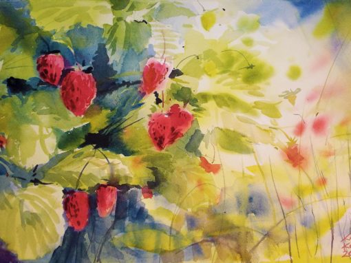 Wild Strawberries