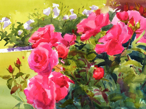 Farmleigh Roses