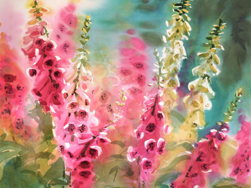 Foxgloves