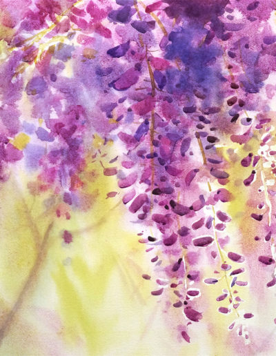 2019 art painting watercolor floral wisteria by Kate Kos - Wistful