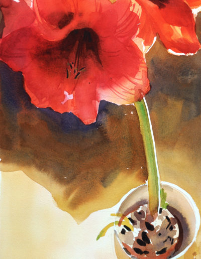 2020 art painting watercolor floral Amarylis by Kate Kos - Popping Out