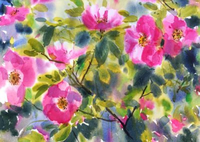 2020 art painting watercolor floral wild rose by Kate Kos - Rose Petals II