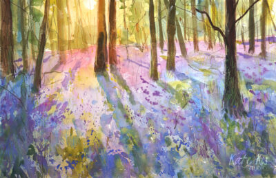 Wild Bluebells